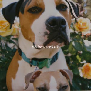 平和なわんこサウンド - Coffeehouse Jazz