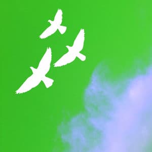 Echoes of Weekend Rest - Cafe Jazz Duo