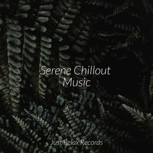 Serene Chillout Music - Kinderliederbande
