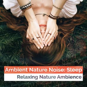 Ambient Nature Noise: Sleep - Relaxing Nature Ambience