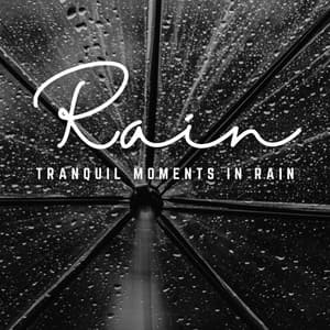 Rainfall Retreat: Relaxing with Nature's Symphony - Nature Sounds Nature Music
