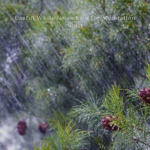 Useful White Noise Rain for Meditation Vol. 1 - White Noise Therapy