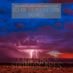 Ocean Thunderstorm Sounds - Nature Soundscapes