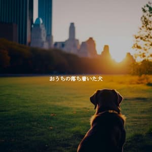 おうちの落ち着いた犬 - Jazz for Tea and Coffee