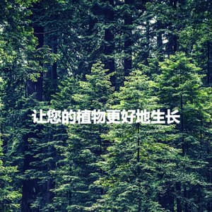 让您的植物更好地生长 - Coffee House Days