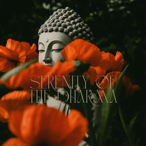 Serenity of the Dharma - Buddhist Meditation Music Set