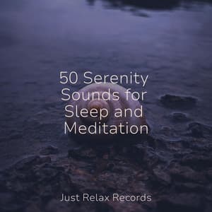 50 Serenity Sounds for Sleep and Meditation - Natural Sounds