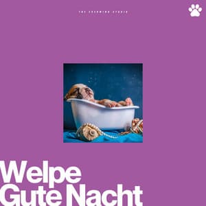Welpe Gute Nacht - Entspannende Musik für Hunde
