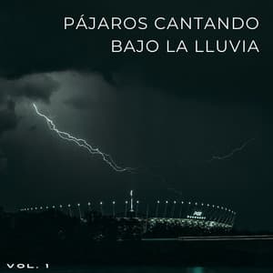 Pájaros Cantando Bajo La Lluvia Vol. 1 - Grabadora Lluvia