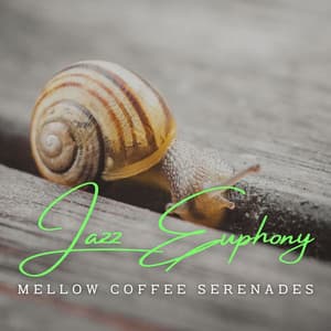 Jazz Euphony: Espresso Lounge Study Sessions - Chillout Jazz