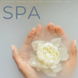 Spa: Lluvia Suave Cae Para Relajarse Vol. 1 - Registradores de lluvia