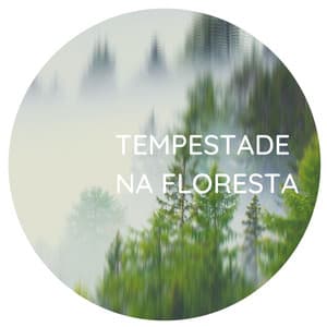Tempestade na Floresta: Sons da Natureza Relaxantes, Acalmar Crise de Ansiedade - Ansiedade Tratamento