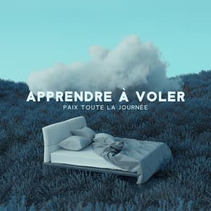 Apprendre à voler: Paix toute la journée, Couleur lavande du lit - Marion Francois