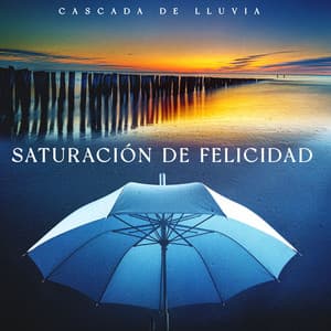 Saturación de Felicidad - Cascada de Lluvia