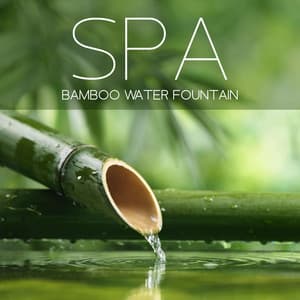Therapeutic Escape Bamboo Water Fountain - Deu Terapia