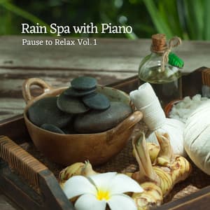 Rain Spa with Piano: Pause to Relax Vol. 1 - Spa Music Playlist