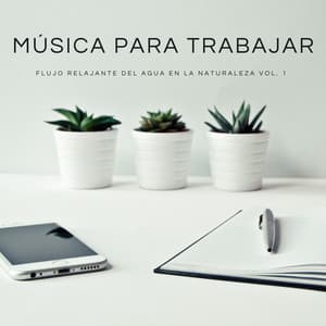 Música Para Trabajar: Flujo Relajante Del Agua En La Naturaleza Vol. 1 - Musica Para Estudiar Academy