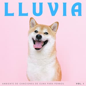 Lluvia: Ambiente De Canciones De Cuna Para Perros Vol. 1 - Lluvia de Berlín
