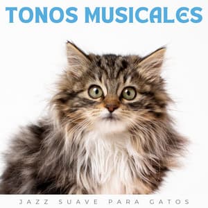 Tonos Musicales: Jazz Suave Para Gatos - Jazz y java
