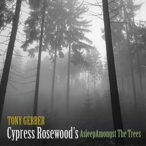 Cypress Rosewood's Asleep Amongst the Trees - Tony Gerber