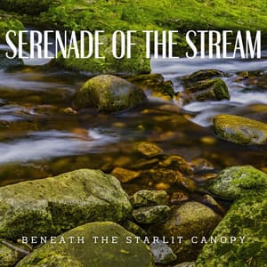 Serenade of the Stream: Waterside Slumber - River Dreams Catalog