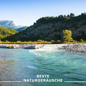 Beste Naturgeräusche: Sammlung von Naturgeräuschen zum Entspannen, Meditieren, Lernen, Spa und Schlafen - Naturgeräusche Meditationsmusik