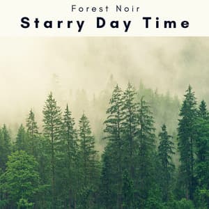 1 o 1 Starry Day Time - Forest Noir