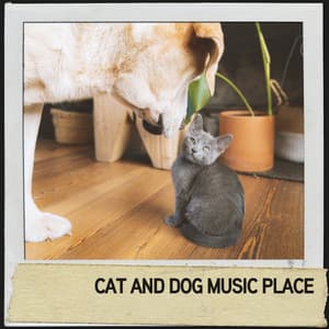 Cat and Dog Music Place: Tranquil Tunes for Tired Pets - Relajacion