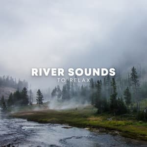 River Sounds To Relax - Rainforest Sounds