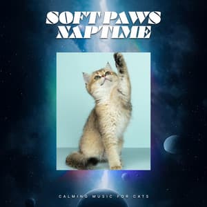 Soft Paws Naptime - Calming Music for Cats