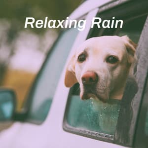 Relaxing Rain - Relaxing Rain Sounds