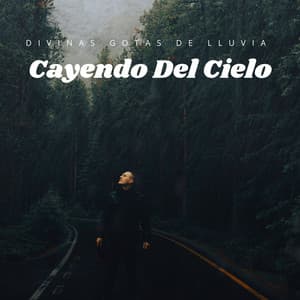 Divinas Gotas De Lluvia Cayendo Del Cielo - Colección de Sonidos de Lluvia Naturales