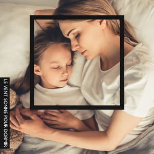 Le vent sonne pour dormir. Bébé et parent. Beaux rêves. Aide au sommeil naturelle. Faire taire l'esprit - Deep Sleep Moonlight Academy