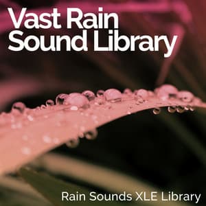 Vast Rain Sound Library - Rain Sounds XLE Library
