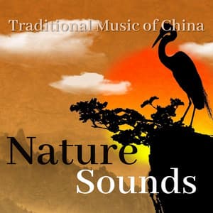 Traditional Music of China - Nature Sounds - Chinese Channel