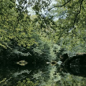 Meditation - Meditation Academy