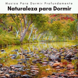 1 Naturaleza para Dormir - Musica Para Dormir Profundamente