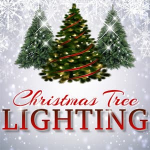 Christmas Tree Lighting - Christmas 2019