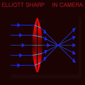In Camera - Elliott Sharp