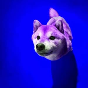 Feelings for Puppy Training Time - Calming Dog Jazz Classics