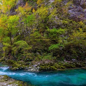 Azure Reflections: The Musical Flow of Tranquil Waters - Lights of Kharma