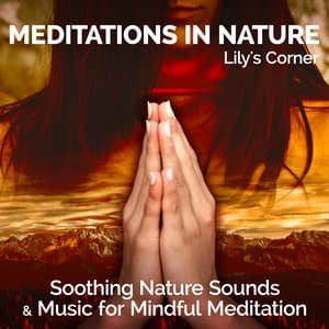 Meditations in Nature - Lily's Corner