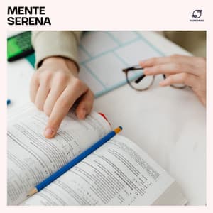 Mente Serena - Estudio y Musica Specialists