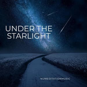 Under the Starlight - Nu Meditation Music