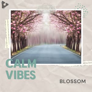 Blossom - Calm Vibes