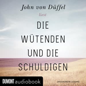 Die Wütenden und die Schuldigen - John von Düffel