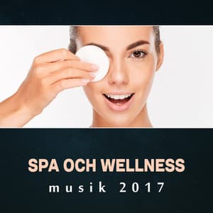 Spa och wellness musik 2017 - Avlasta all stress och återskapa ditt sinne och kropp med helt ny musik för spa, massage och ljudterapi - Lugn Spa Akademi