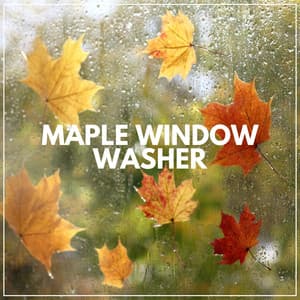 Maple Window Washer - Rain Meditations