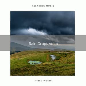 ! -= Rain Drops vol. 1 =- ! - Nature Sounds for Sleep and Relaxation