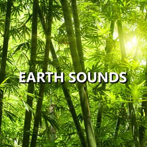Earth Sounds - Earth Sounds